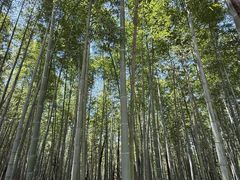-南北湖风景区