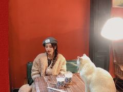 -猫色咖啡·猫咖