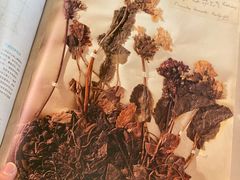 -二酉书店TOYOU BOOKS