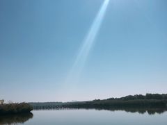 -西青郊野公园