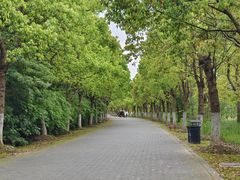 -上海海湾国家森林公园