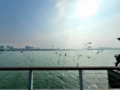 -蠡湖大桥公园