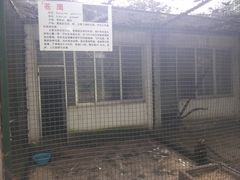 -甘棠公园