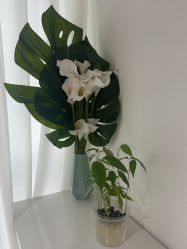 -春田皮肤管理中心品牌旗舰店