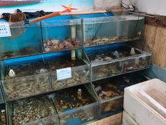 -小叶大馅饺子城