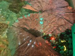 -泉城欧乐堡戏水湾艺术养生温泉