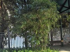 -铁路文化公园