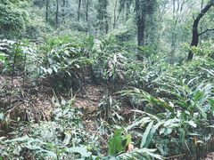 -广州市白云山风景名胜区