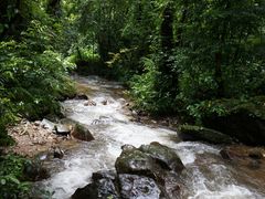 景点-莫里热带雨林景区