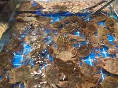 -宴立方海鲜自助(义乌万达广场店)