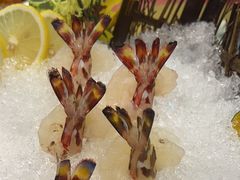 -东国海鲜火锅城(氹仔店)