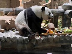 -灵玲国际马戏城