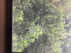 -全季酒店(广州越秀公园店)