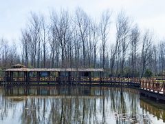 -溱湖国家湿地公园