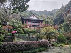 -十八棵（老龙井）御茶园(老龙井店)