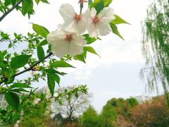 -杭州师范大学(下沙校区)