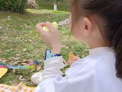 -洋湖国家湿地公园