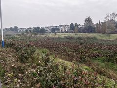 -两河城市森林公园