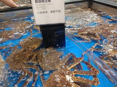 -盒马X会员店(王府井奥莱UP TOWN店)