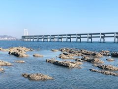 -黑石礁公园