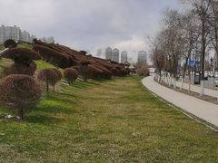 -群力丁香公园