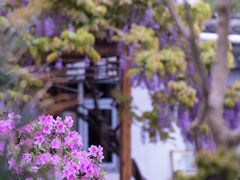 -三山岛