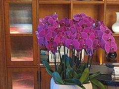 -栾氏荟(柳园店)