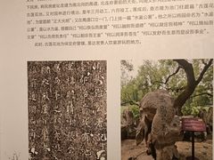 -莲池书院博物馆