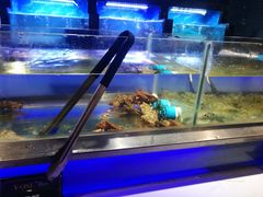 -V-ONE西雅图海鲜自助餐厅(仓山万达广场店)