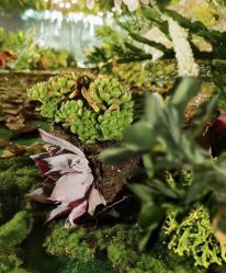 -沈阳富力万达文华酒店·宴会厅