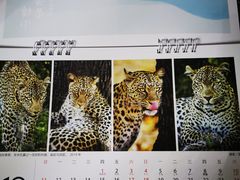 -好利来(十里河店)