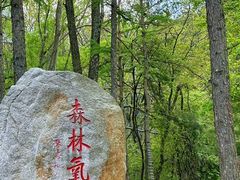 -洛阳白云山景区