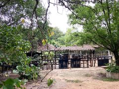 -深圳野生动物园