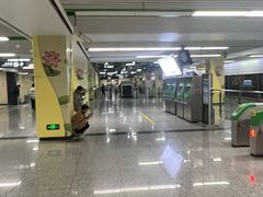 -杨柳河(地铁站)