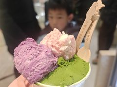 -鹤茶野所(上海首店)