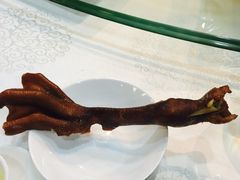 -金成潮菜博物馆(海珠湿地店)