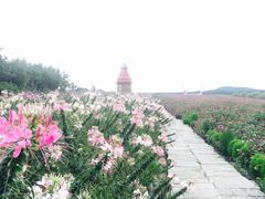 -北纬44度·金珠花海休闲农业旅游景区