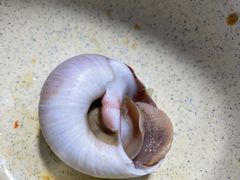 -胖大嫂渔家排档·全海景餐厅(渔村店)