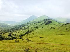 -大姆山草场