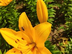 -长春公园(普阳街道)