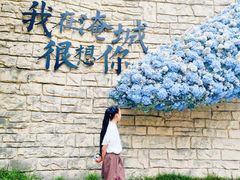 -淹城春秋乐园