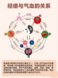 -香薇妮丝·定制减肥·身材管理