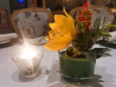 -蝶舍·MAISON PAPILLON