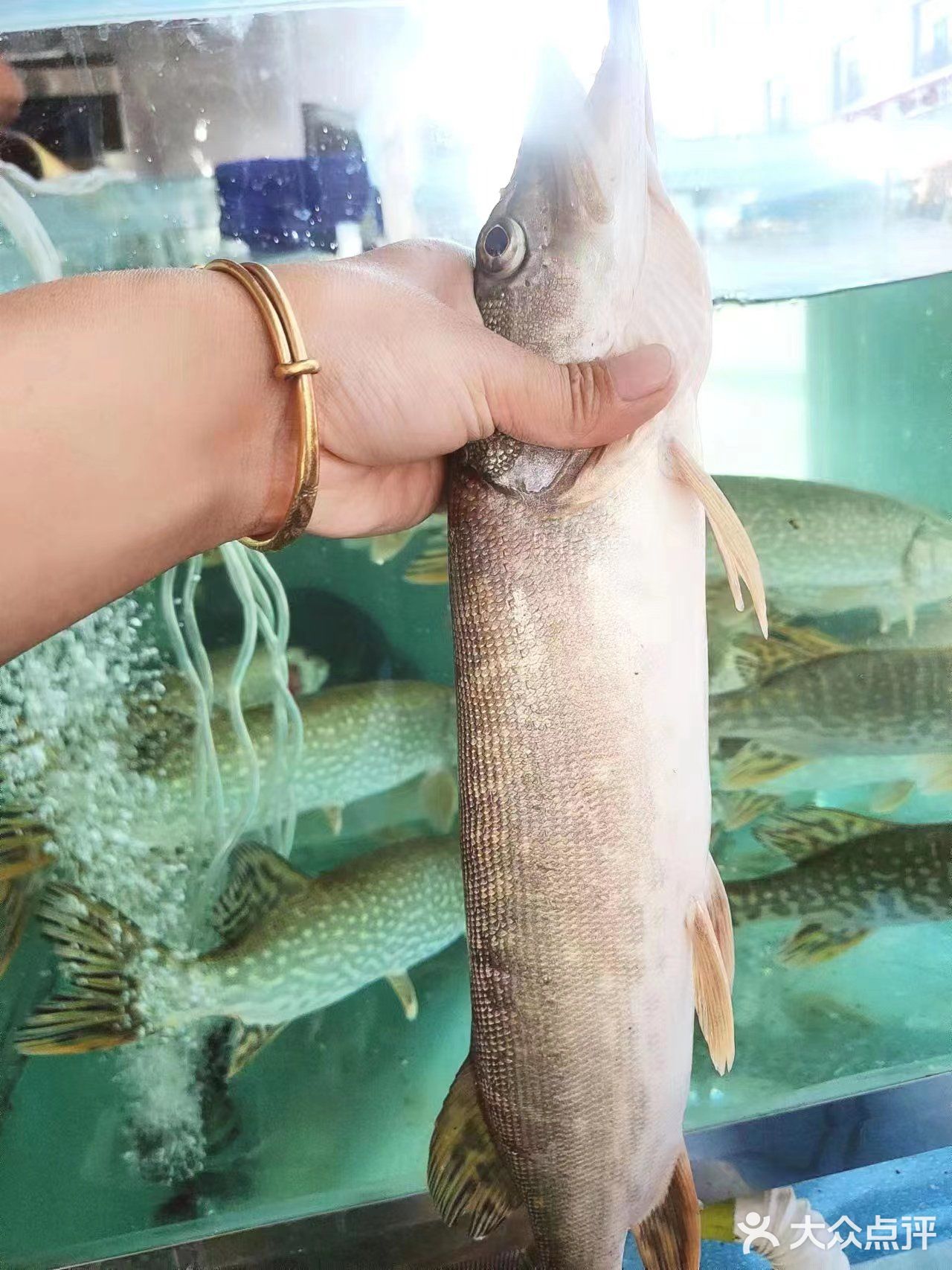 撸串吃饭好地方