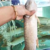 撸串吃饭好地方