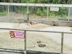 -苏州太湖西山岛开心农场