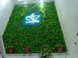 -莱可美科技美肤