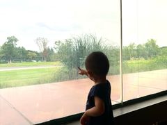 -盘龙城遗址博物院