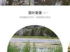 -西安牡丹苑