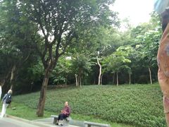 -云溪植物园